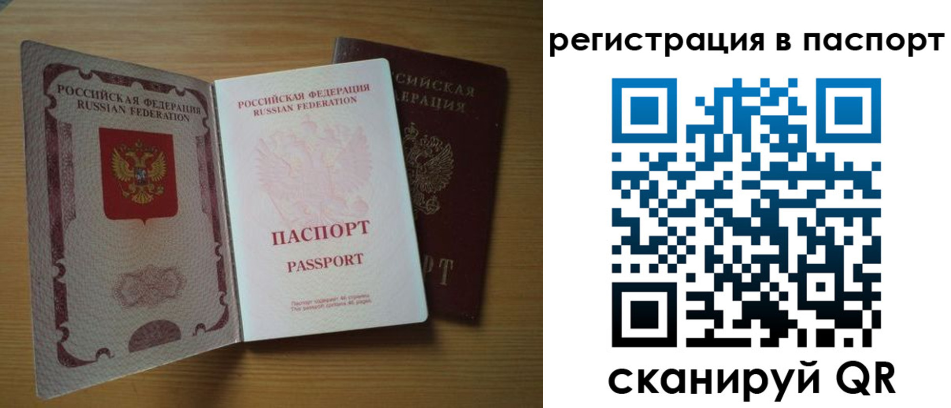 прописка 2025 в Сольцах